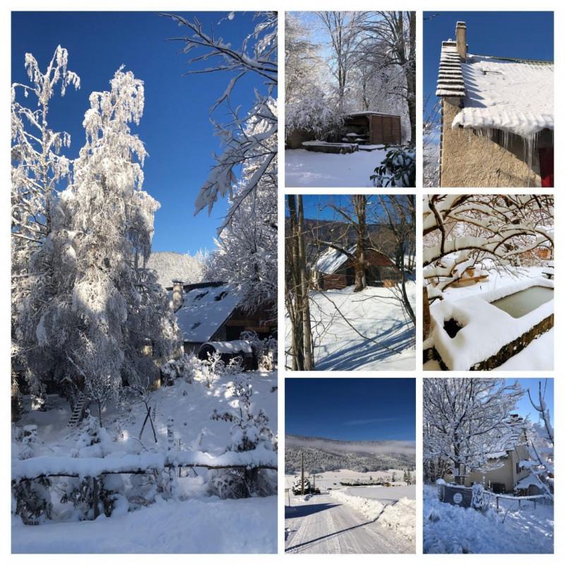 34512958.jpg.jpg 34512958.jpg.jpg