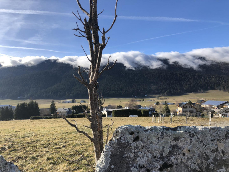 34512959.jpg.jpg 34512959.jpg.jpg