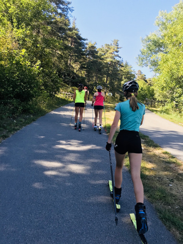 ski roulettes ski roulettes