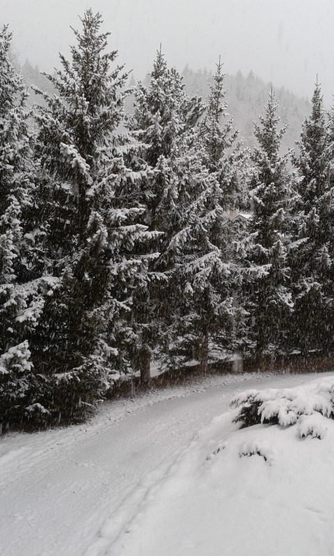 Chemin d'accès - © Patricia Guillotin Chemin d'accès