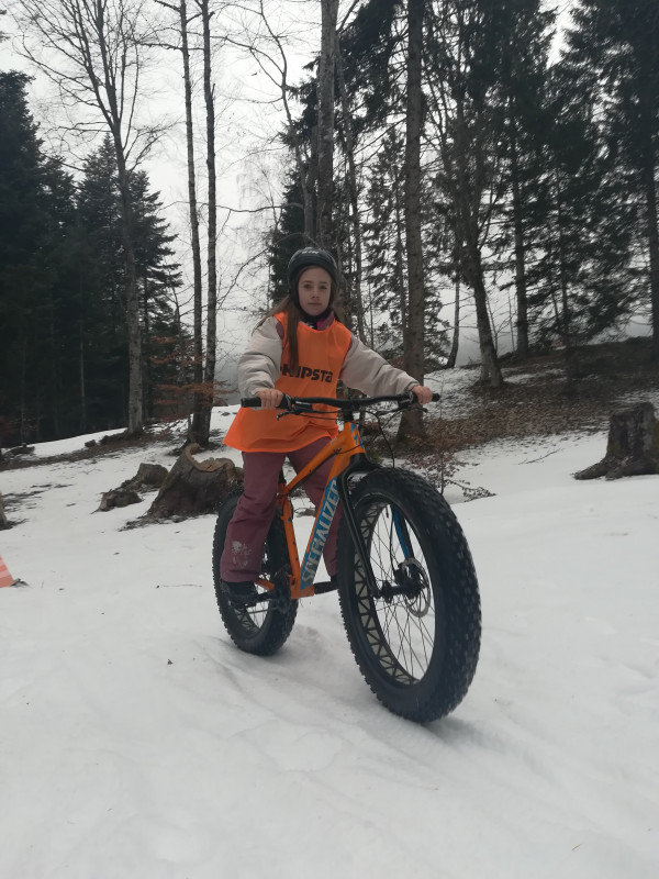 Fat bike