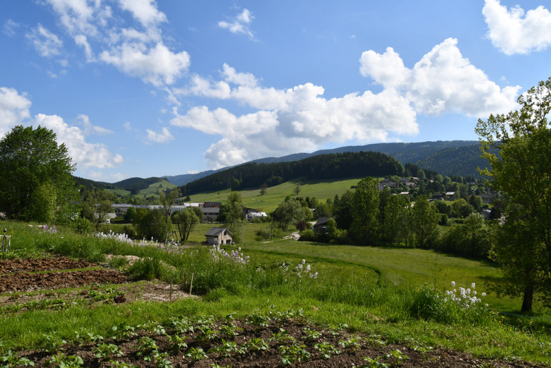 DSC_7041L.jpg DSC_7041L.jpg