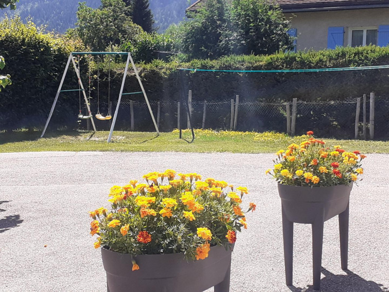 28658749.jpg.jpg 28658749.jpg.jpg