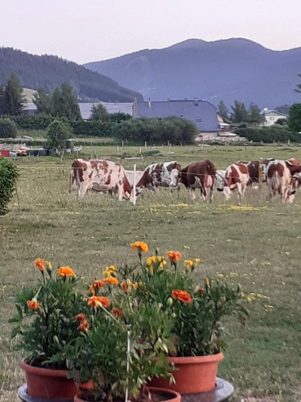 28658750.jpg.jpg 28658750.jpg.jpg