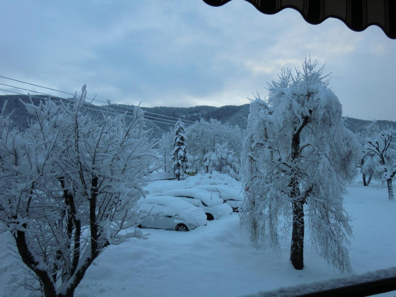 36849728.jpg.jpg 36849728.jpg.jpg