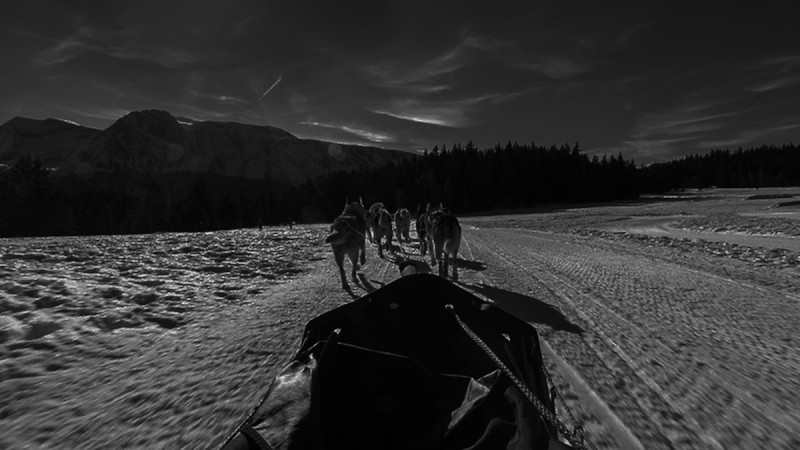 d3ca5c1d3c8314c2754d3b4898ef4de1-12615591-1600x900.jpg - © Rêve Arctic d3ca5c1d3c8314c2754d3b4898ef4de1-12615591-1600x900.jpg