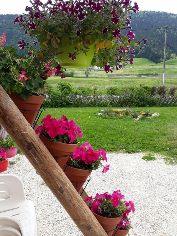 28626098.jpg.jpg 28626098.jpg.jpg