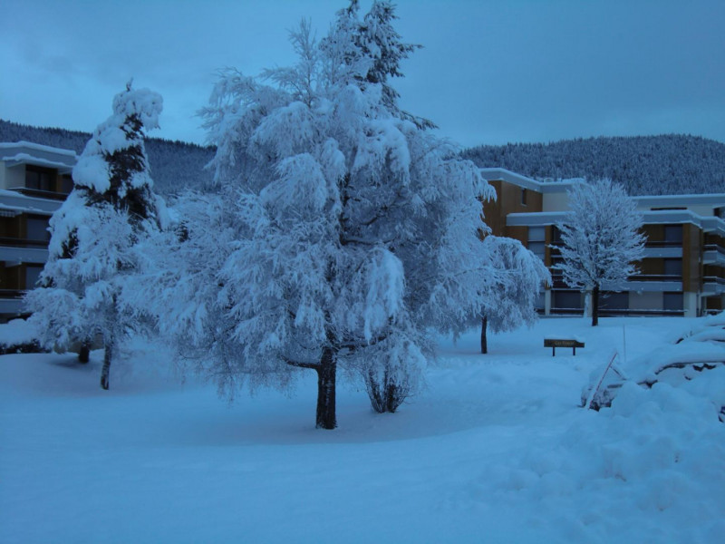 36849661.jpg.jpg 36849661.jpg.jpg