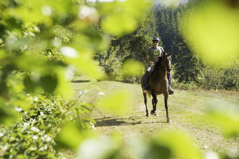Balade à cheval Balade à cheval