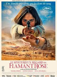 Affiche du film Le Mystérieux regard du flamand rose_Lans-en-Vercors - © Le Clap Affiche du film Le Mystérieux regard du flamand rose_Lans-en-Vercors