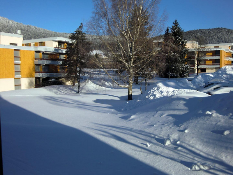 36849658.jpg.jpg 36849658.jpg.jpg