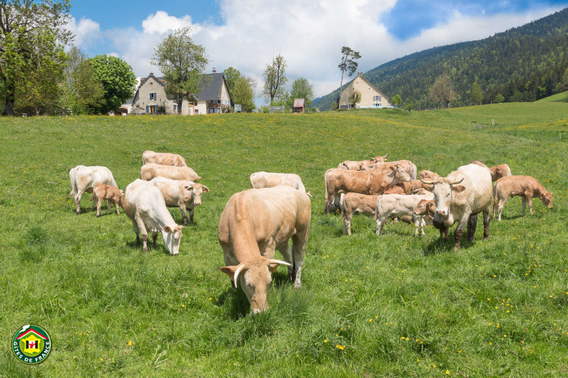 Le Gîte et ses environs printemps 2018