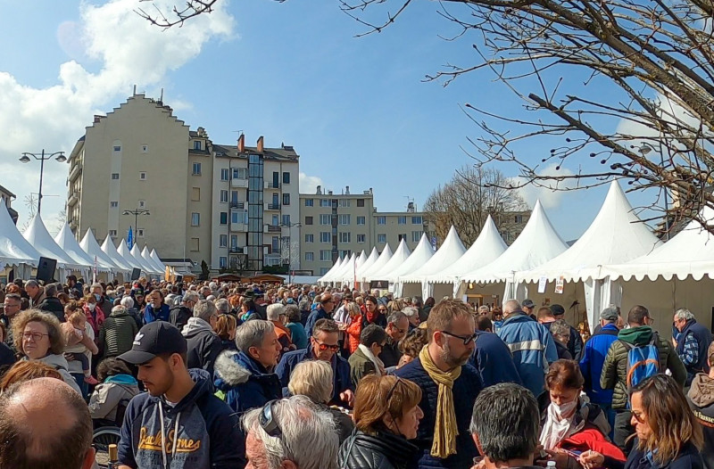 copyright_c_szymanek_fete_de_la_coquille2022_3.jpg copyright_c_szymanek_fete_de_la_coquille2022_3.jpg