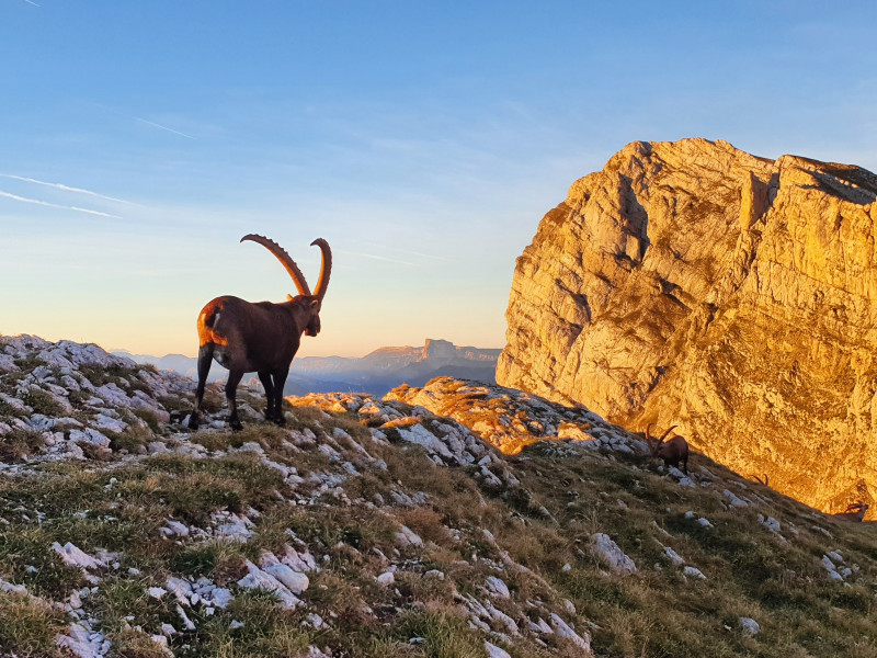 trace4.jpg trace4.jpg