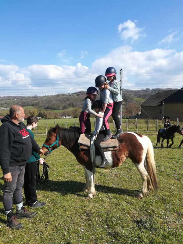 Animation poneys à Gève - © Refuge de Gève Animation poneys à Gève