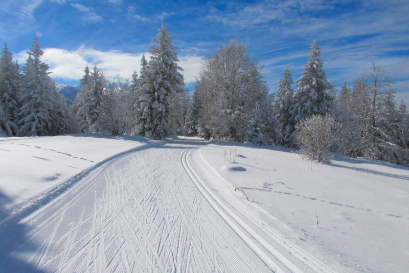 diapo_1_sa01dsdok.jpg diapo_1_sa01dsdok.jpg