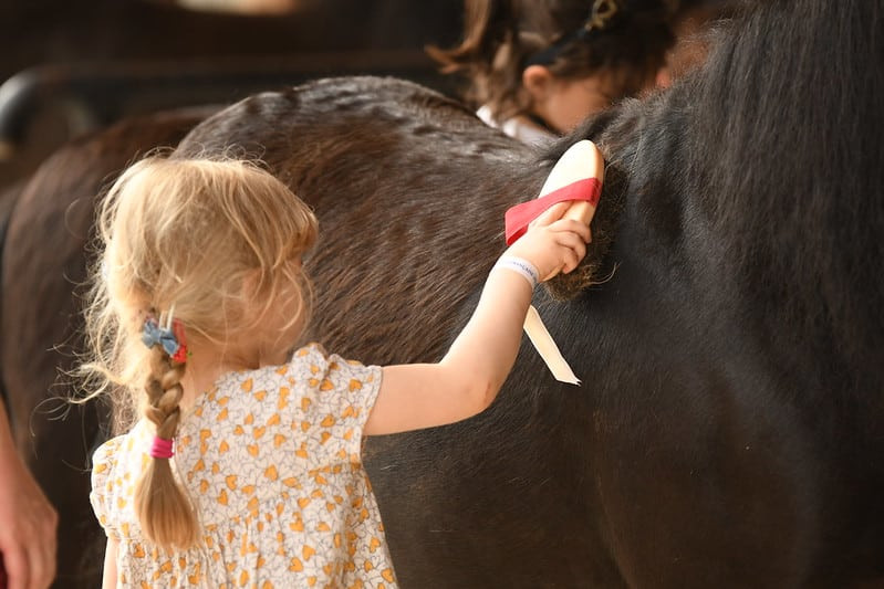 Ludiponey - © Haras du Vercors Ludiponey