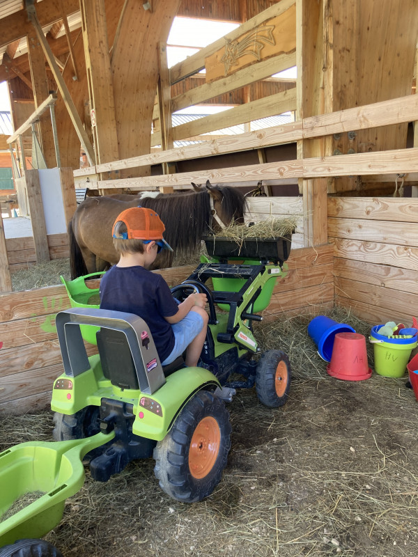 Ludiponey - © Haras du Vercors Ludiponey