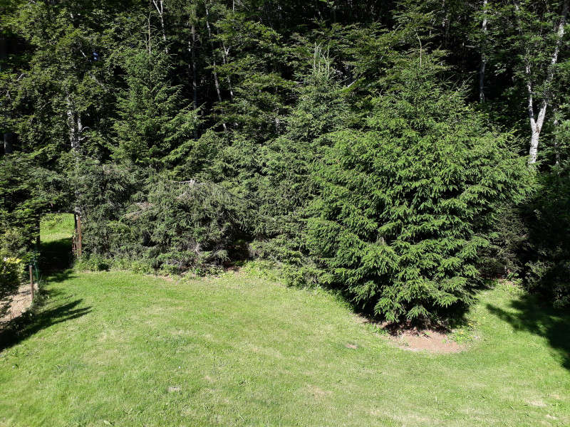 20180628_094136.jpg 20180628_094136.jpg