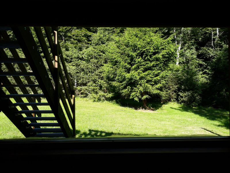 20180628_094657.jpg 20180628_094657.jpg