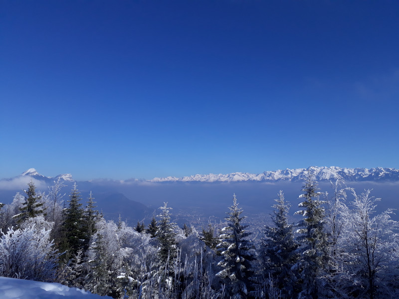 20180209_135924.jpg 20180209_135924.jpg