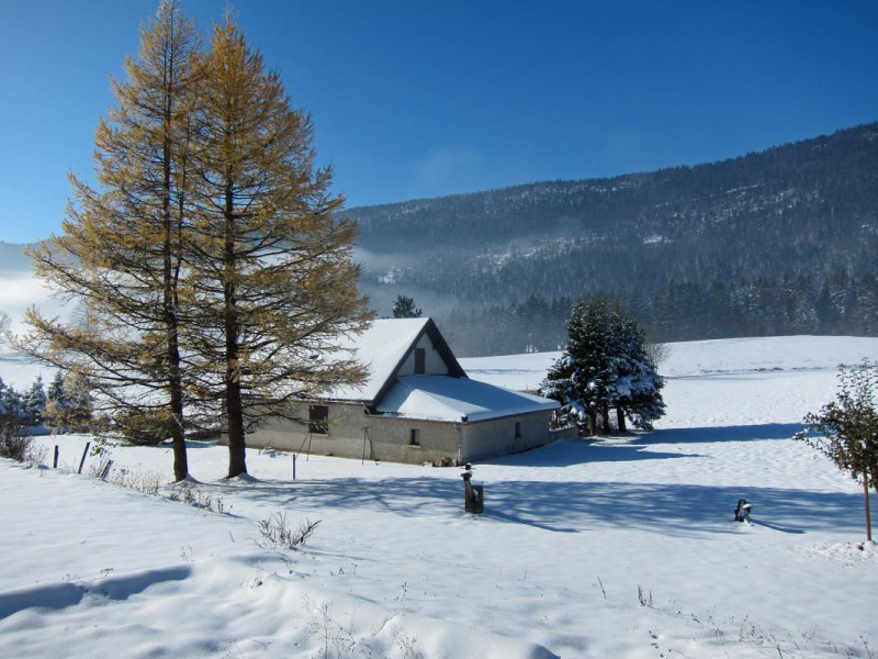 jardin en hiver jardin en hiver