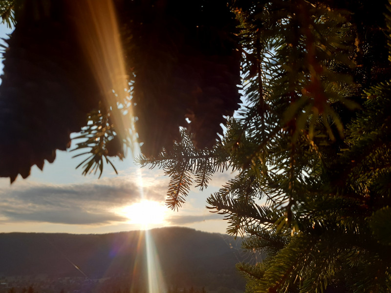 veillee stage yogasoi - © Yogasoi veillee stage yogasoi