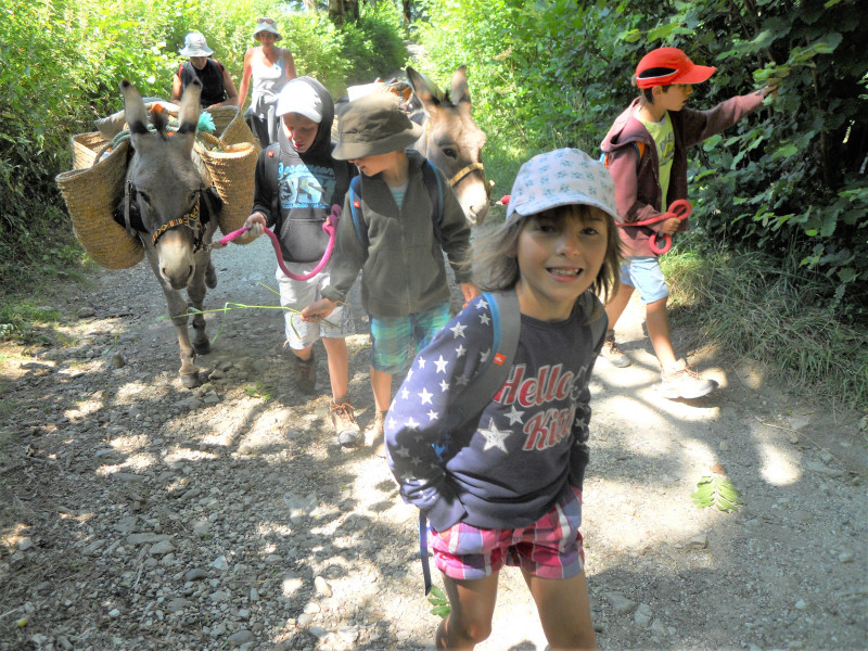 Sorties pédagogiques Sorties pédagogiques