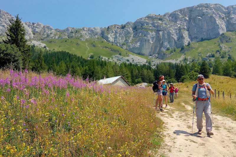 diapo_1_p_20190724_141138.jpg - © Arcanson diapo_1_p_20190724_141138.jpg