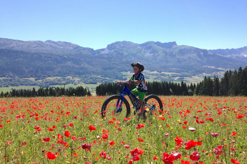 diapo_4_fl01dvv.jpg - © Arcanson diapo_4_fl01dvv.jpg