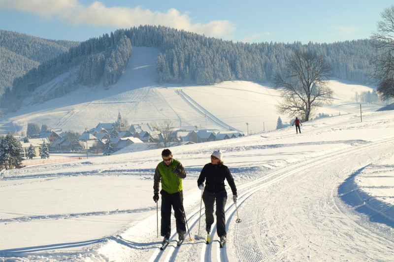 paysage hivernal skating