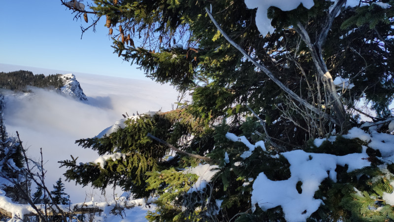 Raquettes 2 Raquettes 2