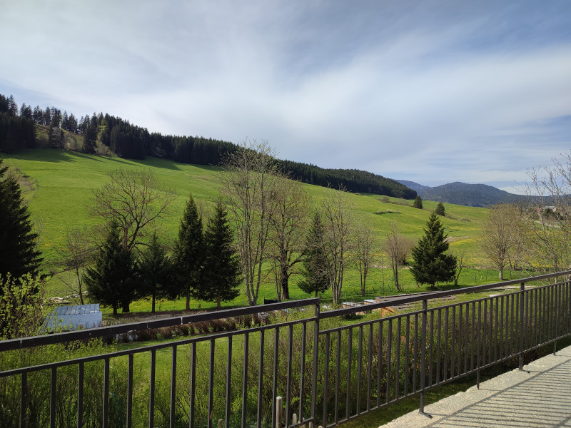 1688727881699.jpg 1688727881699.jpg