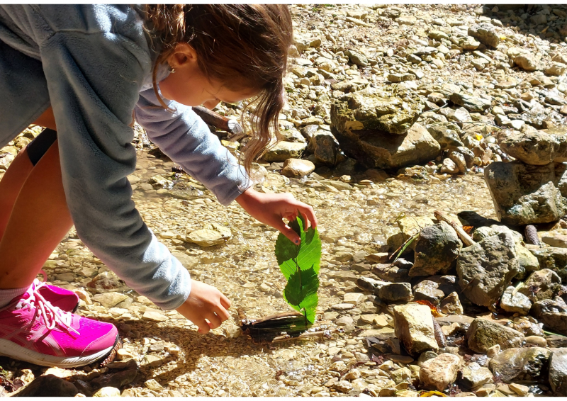 Atelier nature : fabrication d'un radeau en brindilles_Autrans-Méaudre en Vercors