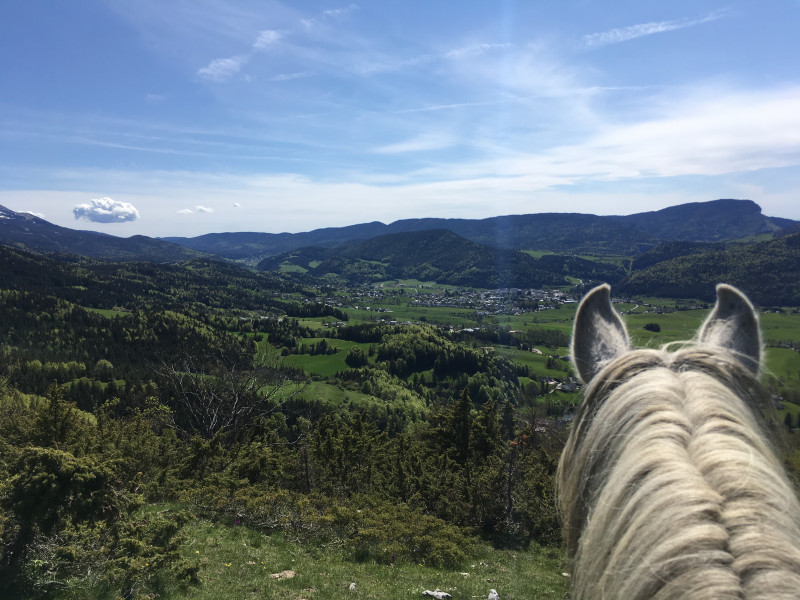 Randonnée à cheval