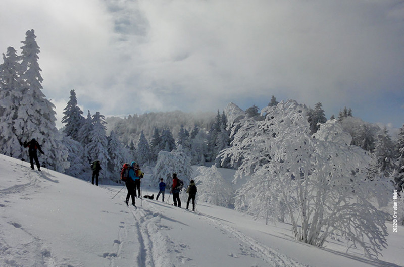 apidae_ski_nordique.jpg