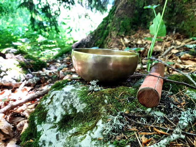 Des temps de méditation en forêt