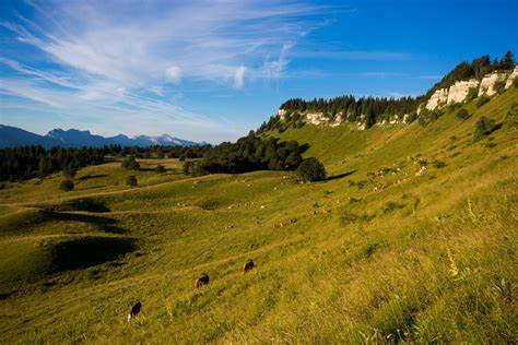 Alpage et ferme