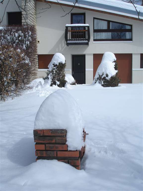 jardin, barbecue sous la neige