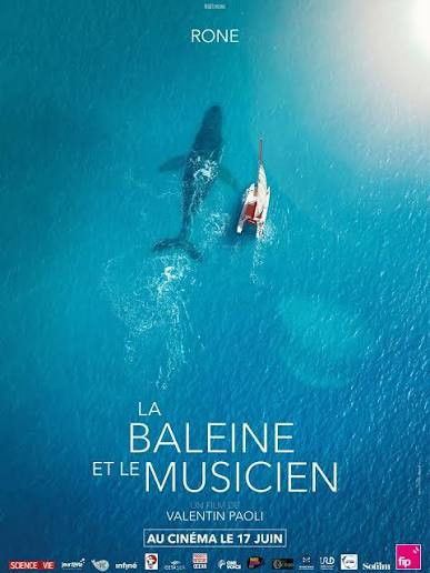 Affiche La baleine et le musicien