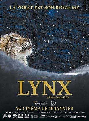 Affiche Lynx