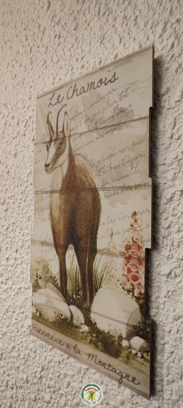 31985820.jpg.jpg