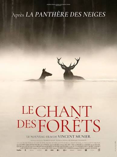 Ciné-nature au Clap - Le chant des forêts_Lans-en-Vercors