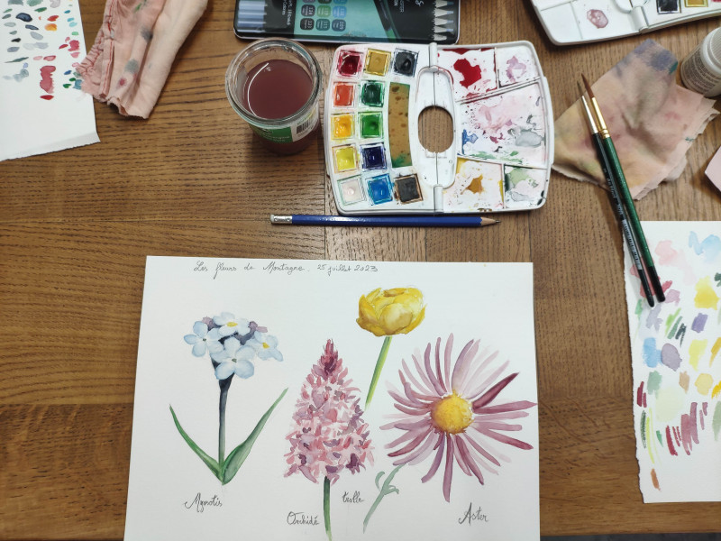 Ateliers Aquarelle avec Alexandra Jacquin_Lans-en-Vercors - © Alexandra Jacquin Ateliers Aquarelle avec Alexandra Jacquin_Lans-en-Vercors
