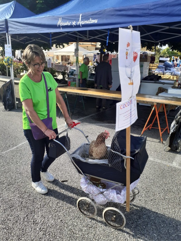 Foire à l'ancienne 2026_Autrans-Méaudre en Vercors