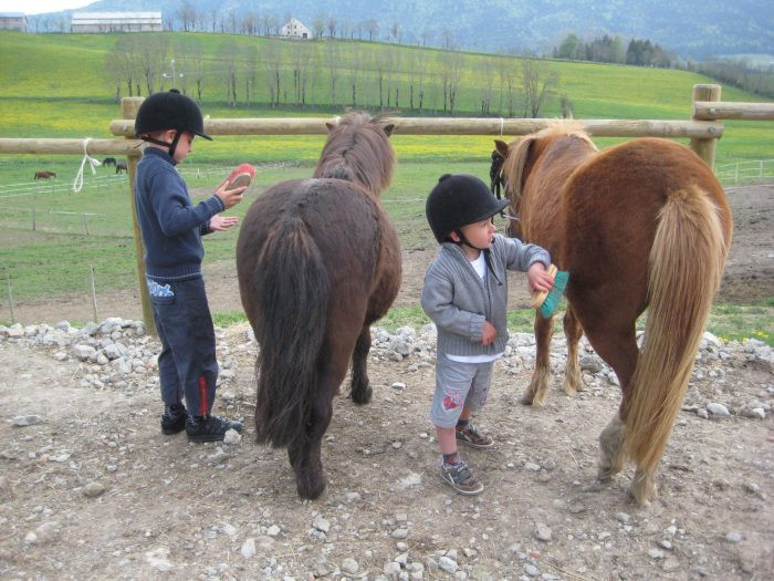 Balade à poneys avec le Haras du Vercors_Lans-en-Vercors