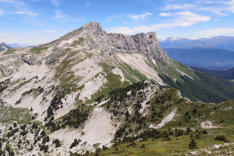 panorama