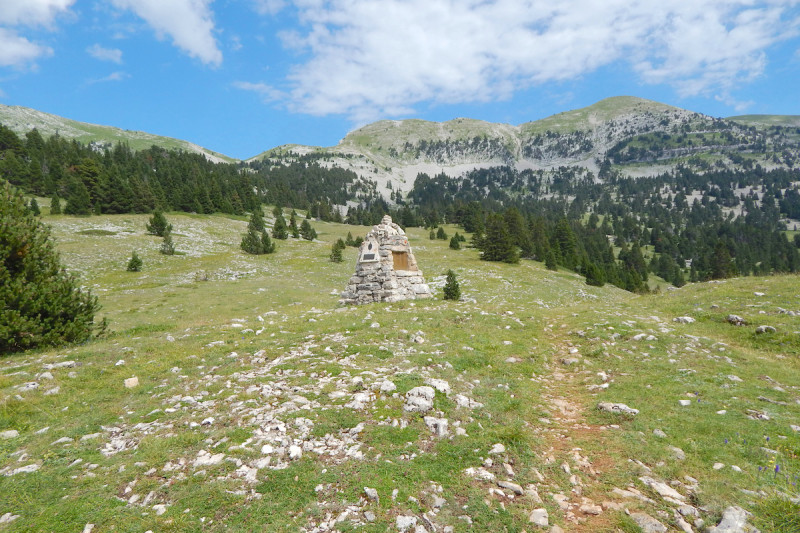 paysage