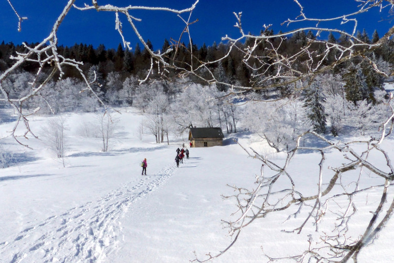 paysage hivernal - © Arcanson paysage hivernal