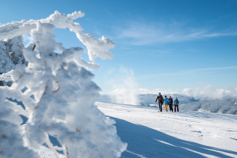 paysage hivernal